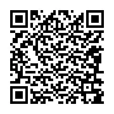 QR-Code für Telefonnummer +12086385132