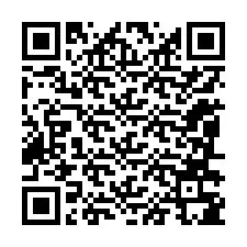 QR-Code für Telefonnummer +12086385775