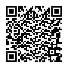 QR-code voor telefoonnummer +12086385845