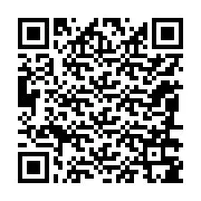 QR-Code für Telefonnummer +12086385985