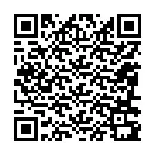 Codice QR per il numero di telefono +12086391317