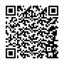 QR-koodi puhelinnumerolle +12086541398