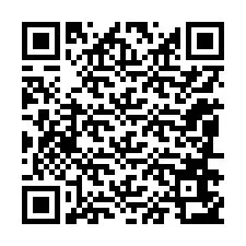 QR-Code für Telefonnummer +12086653795