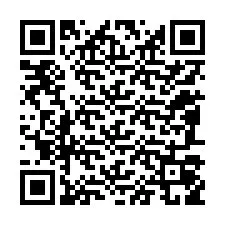 Codice QR per il numero di telefono +12087059018