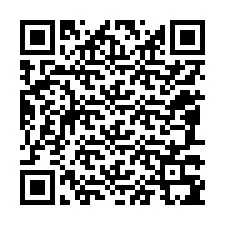 QR-код для номера телефона +12087395108