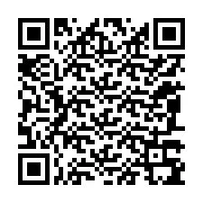 QR-code voor telefoonnummer +12087395814