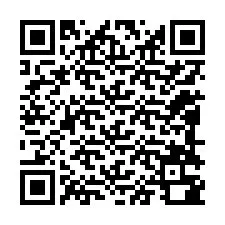 電話番号のQRコード +12088380719