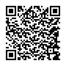 Codice QR per il numero di telefono +12088386969