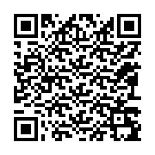 QR kód a telefonszámhoz +12093295949