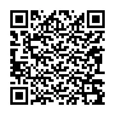 QR kód a telefonszámhoz +12093295952