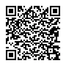 QR kód a telefonszámhoz +12093295957