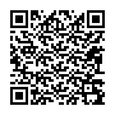 QR kód a telefonszámhoz +12093295967