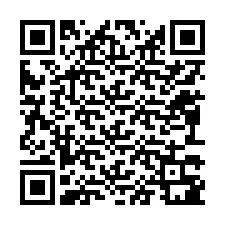 QR-code voor telefoonnummer +12093381006