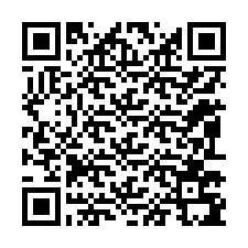 電話番号のQRコード +12093795771