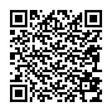 電話番号のQRコード +12093834706