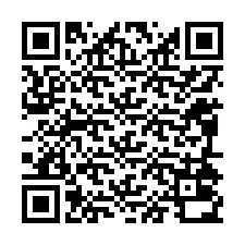 QR-код для номера телефона +12094030812