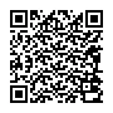 QR kód a telefonszámhoz +12094030822