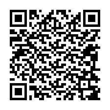 QR-code voor telefoonnummer +12094387133