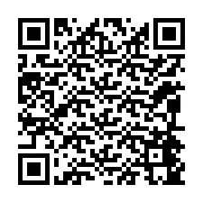 電話番号のQRコード +12094445921