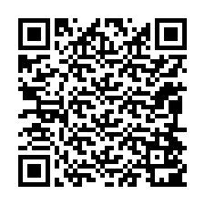 電話番号のQRコード +12094501285