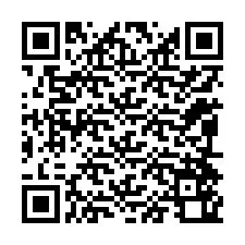 QR-koodi puhelinnumerolle +12094560691