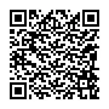 Codice QR per il numero di telefono +12094569564