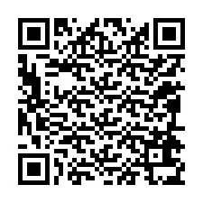電話番号のQRコード +12094635918