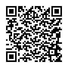 電話番号のQRコード +12094655140