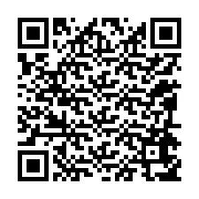 QR-Code für Telefonnummer +12094657958