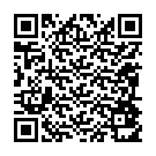 QR kód a telefonszámhoz +12094811776