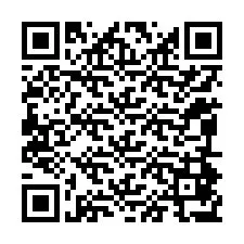 Codice QR per il numero di telefono +12094877080