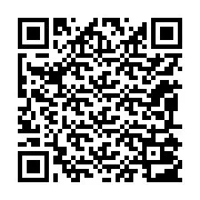 QR код за телефонен номер +12095003035