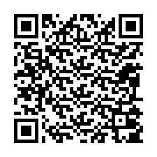 QR-code voor telefoonnummer +12095005067