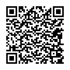 QR-koodi puhelinnumerolle +12095005237