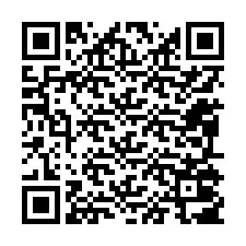 Código QR para número de telefone +12095007937