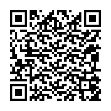 QR Code pour le numéro de téléphone +12095055020