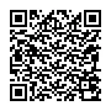 QR-код для номера телефона +12095070904