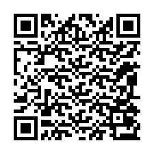 Codice QR per il numero di telefono +12095073371
