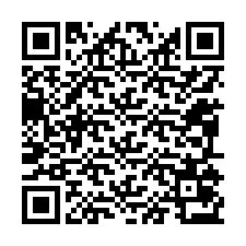 QR Code for Phone number +12095073533