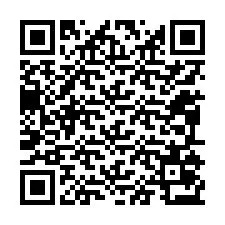 Código QR para número de teléfono +12095073533