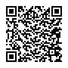 電話番号のQRコード +12095074953