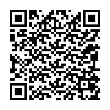 QR-code voor telefoonnummer +12095075284