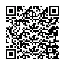 Codice QR per il numero di telefono +12095075807