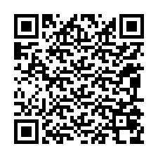 QR-код для номера телефона +12095078120