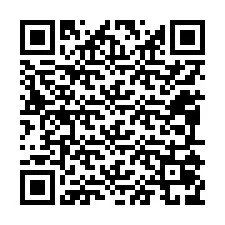 Código QR para número de telefone +12095079033