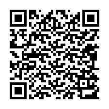 QR-code voor telefoonnummer +12095113296