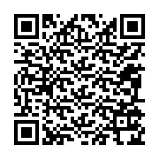 QR Code for Phone number +12095124933