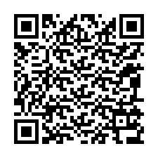 QR kód a telefonszámhoz +12095136440