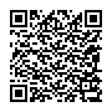 Kode QR untuk nomor Telepon +12095137334