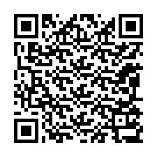 QR-koodi puhelinnumerolle +12095137335